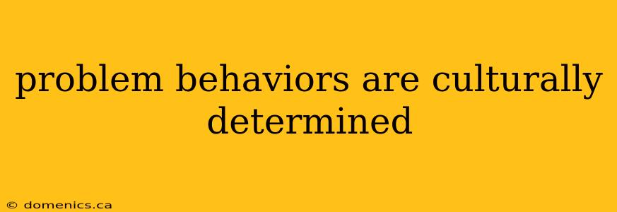 problem behaviors are culturally determined