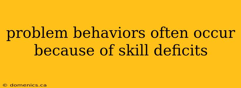 problem behaviors often occur because of skill deficits