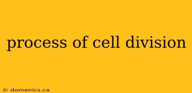 process of cell division