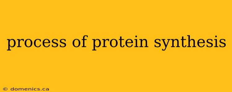 process of protein synthesis