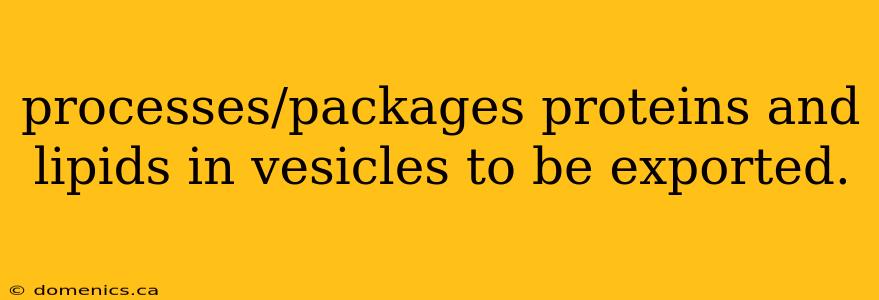 processes/packages proteins and lipids in vesicles to be exported.