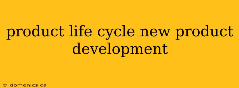 product life cycle new product development