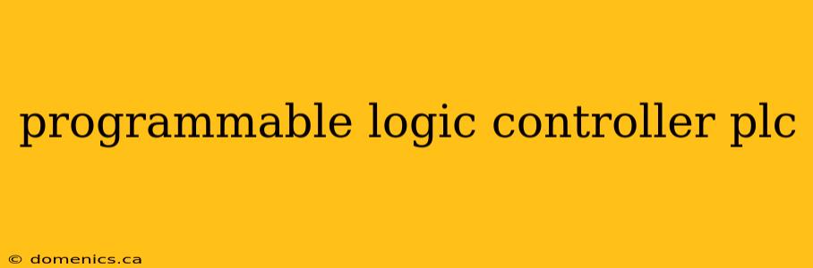 programmable logic controller plc