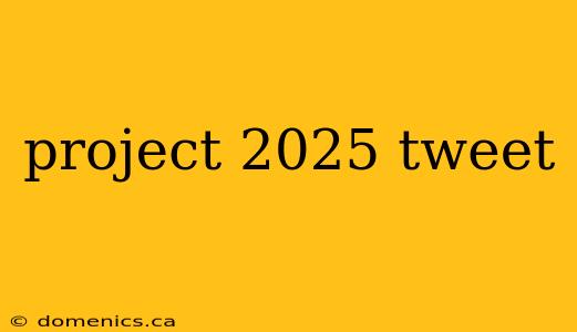 project 2025 tweet