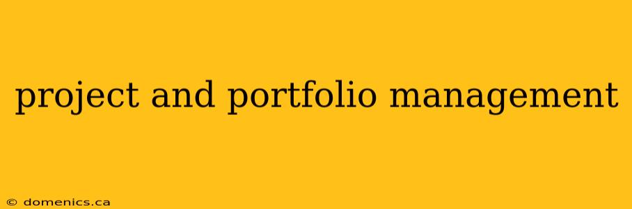 project and portfolio management