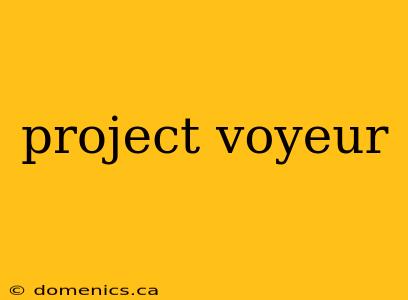 project voyeur