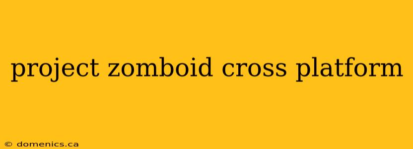 project zomboid cross platform