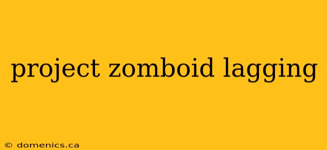 project zomboid lagging