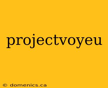 projectvoyeu