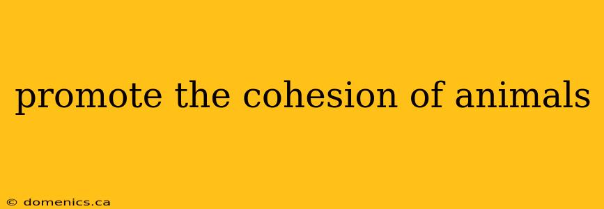 promote the cohesion of animals
