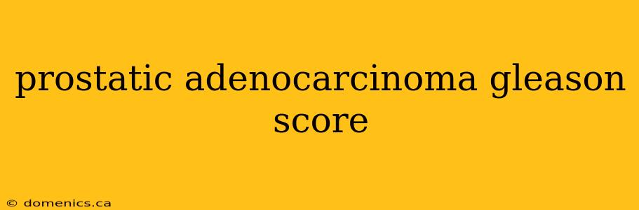 prostatic adenocarcinoma gleason score