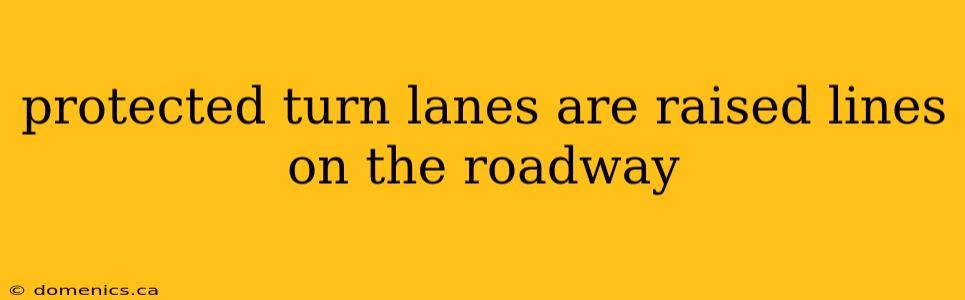 protected turn lanes are raised lines on the roadway