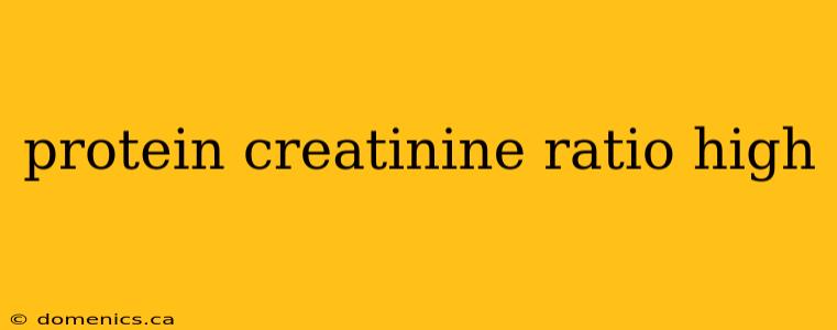 protein creatinine ratio high