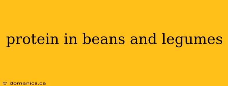 protein in beans and legumes