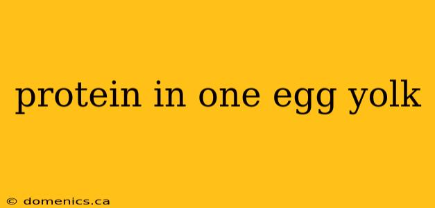 protein in one egg yolk