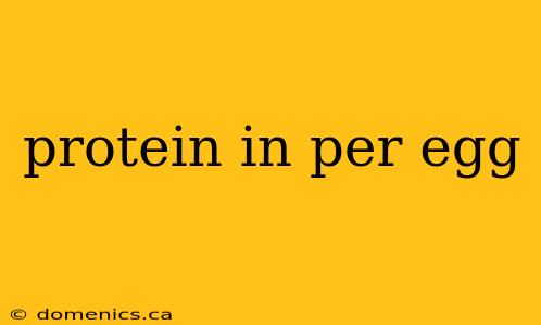 protein in per egg