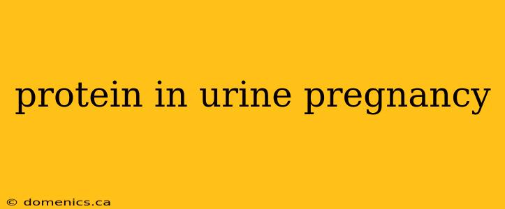 protein in urine pregnancy