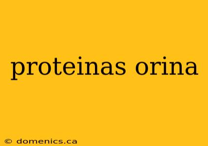 proteinas orina