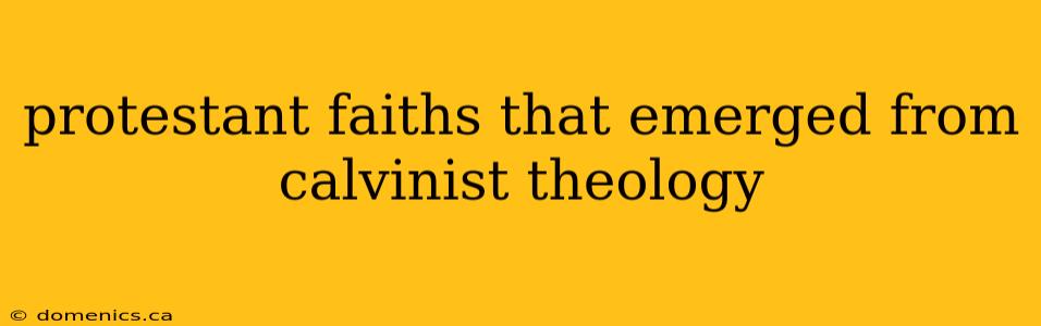 protestant faiths that emerged from calvinist theology