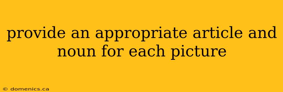 provide an appropriate article and noun for each picture