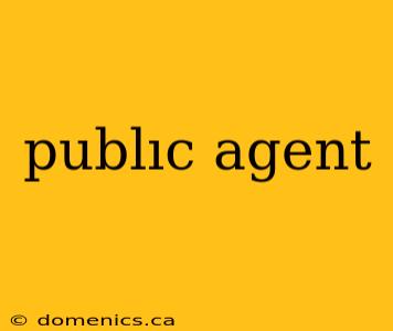 publıc agent