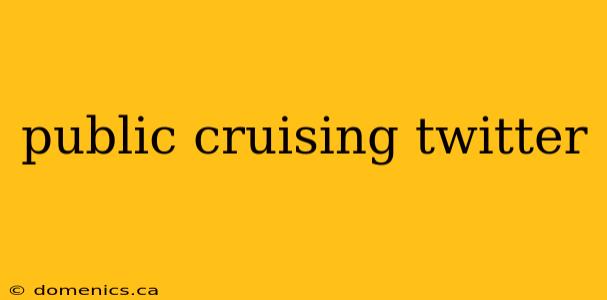 public cruising twitter