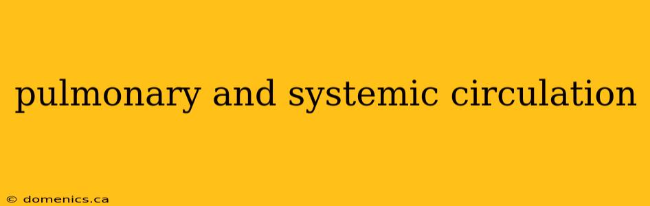 pulmonary and systemic circulation
