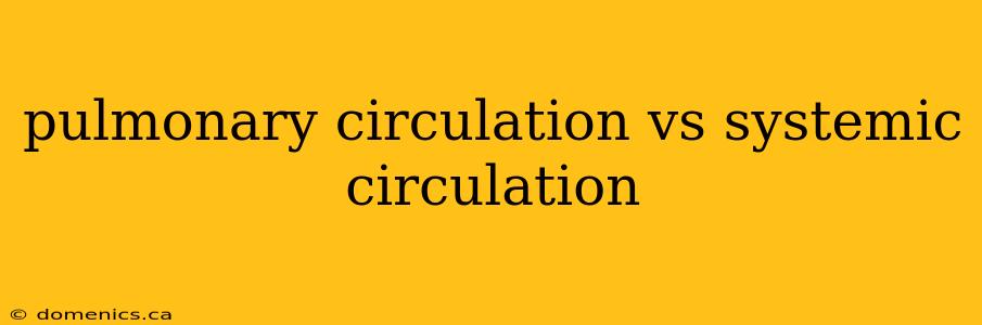 pulmonary circulation vs systemic circulation