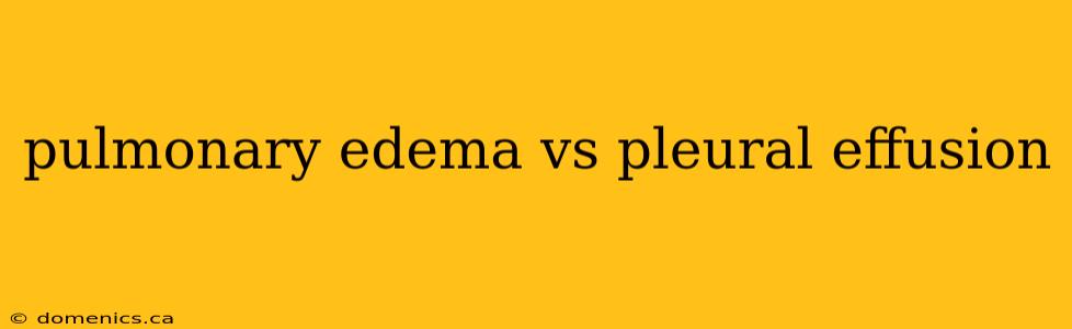 pulmonary edema vs pleural effusion