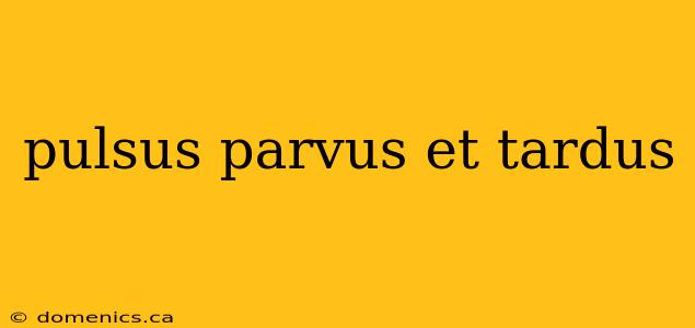pulsus parvus et tardus
