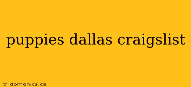 puppies dallas craigslist