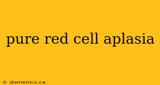 pure red cell aplasia