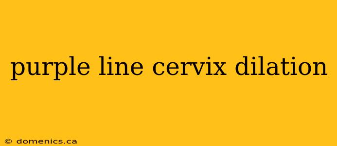 purple line cervix dilation