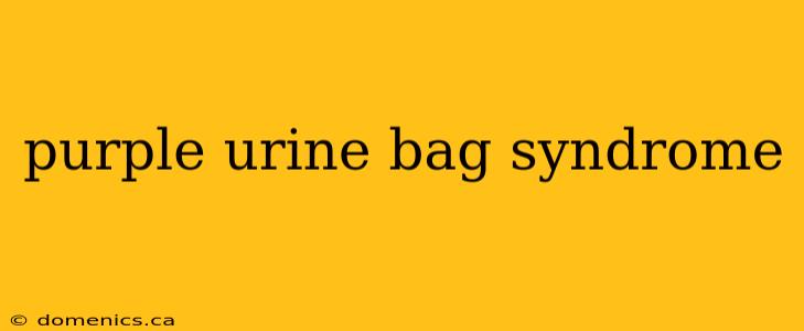 purple urine bag syndrome