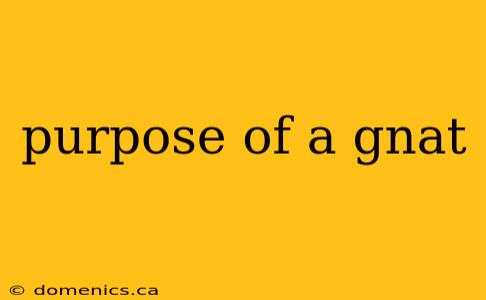 purpose of a gnat