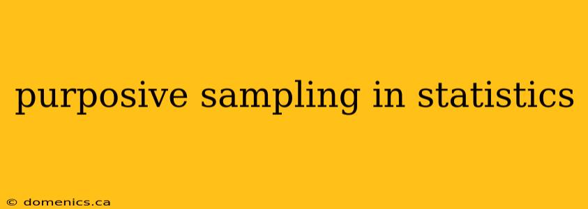 purposive sampling in statistics