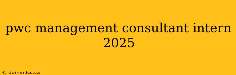 pwc management consultant intern 2025