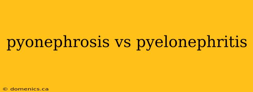 pyonephrosis vs pyelonephritis