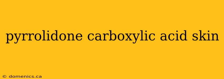 pyrrolidone carboxylic acid skin