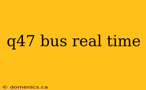 q47 bus real time