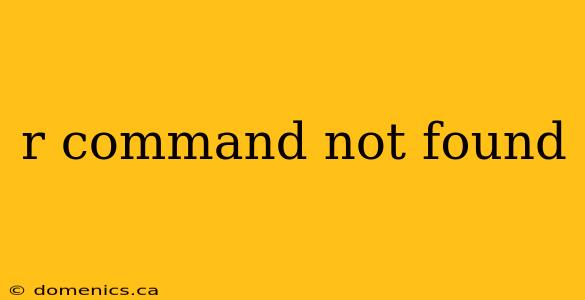 r command not found