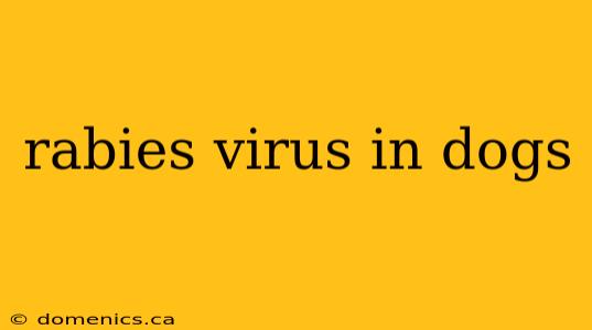 rabies virus in dogs