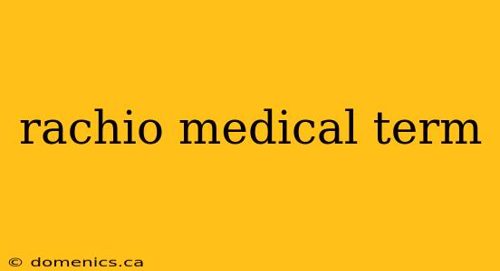 rachio medical term