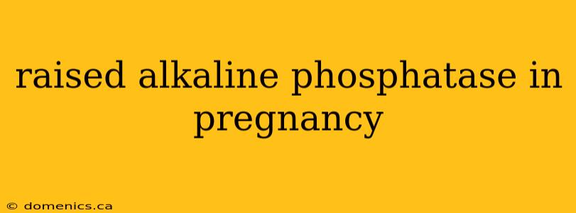raised alkaline phosphatase in pregnancy