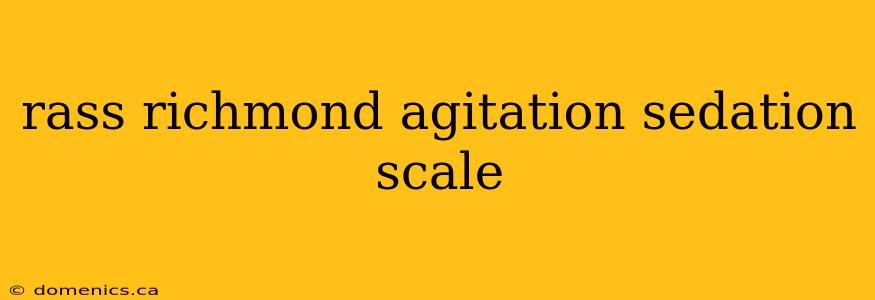 rass richmond agitation sedation scale