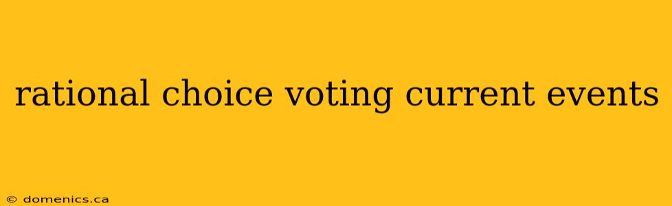 rational choice voting current events