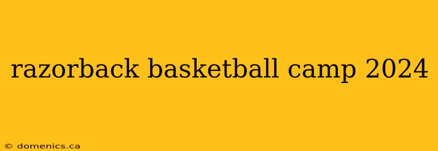 razorback basketball camp 2024
