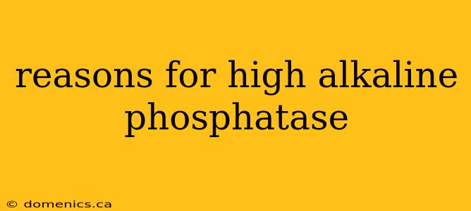 reasons for high alkaline phosphatase