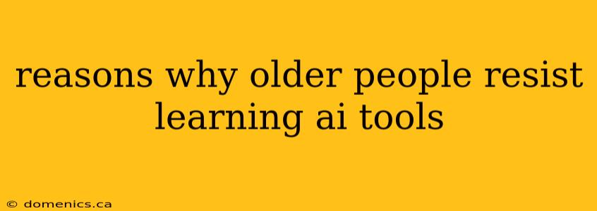 reasons why older people resist learning ai tools