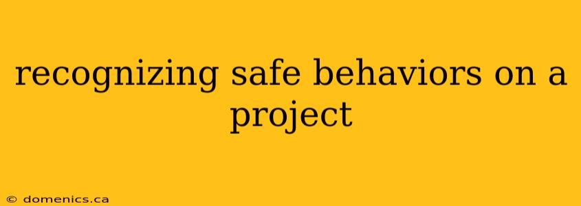 recognizing safe behaviors on a project